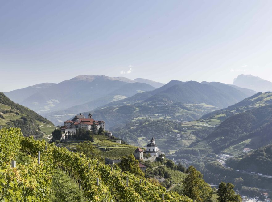 Südtiroler Weine