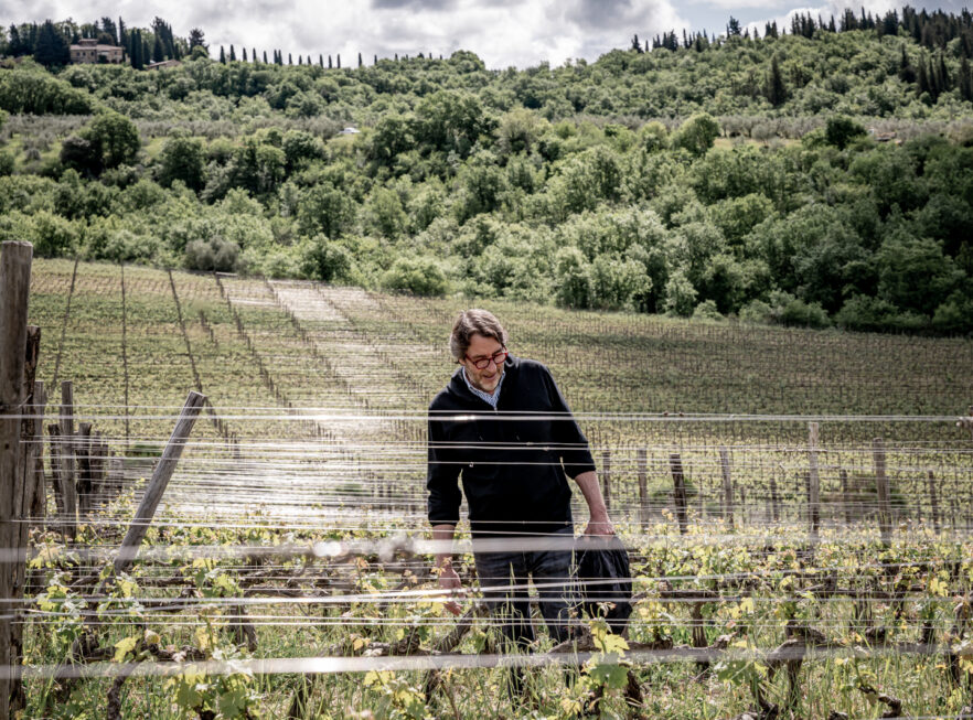 Tenuta La Massa